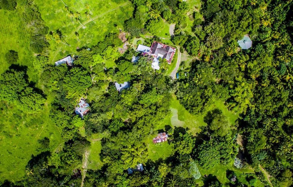 Laborie Balenbouche Estateヴィラ エクステリア 写真