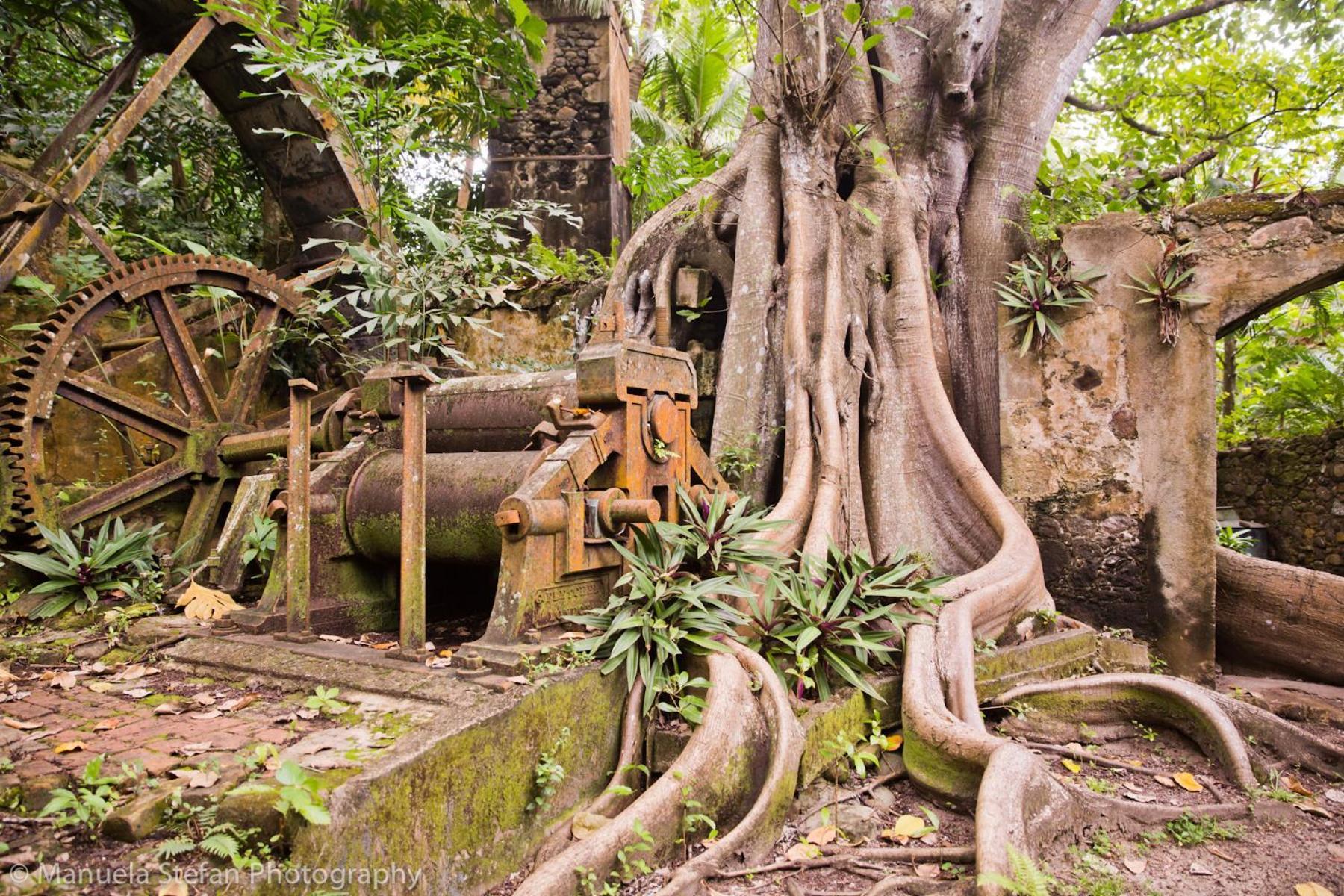 Laborie Balenbouche Estateヴィラ エクステリア 写真