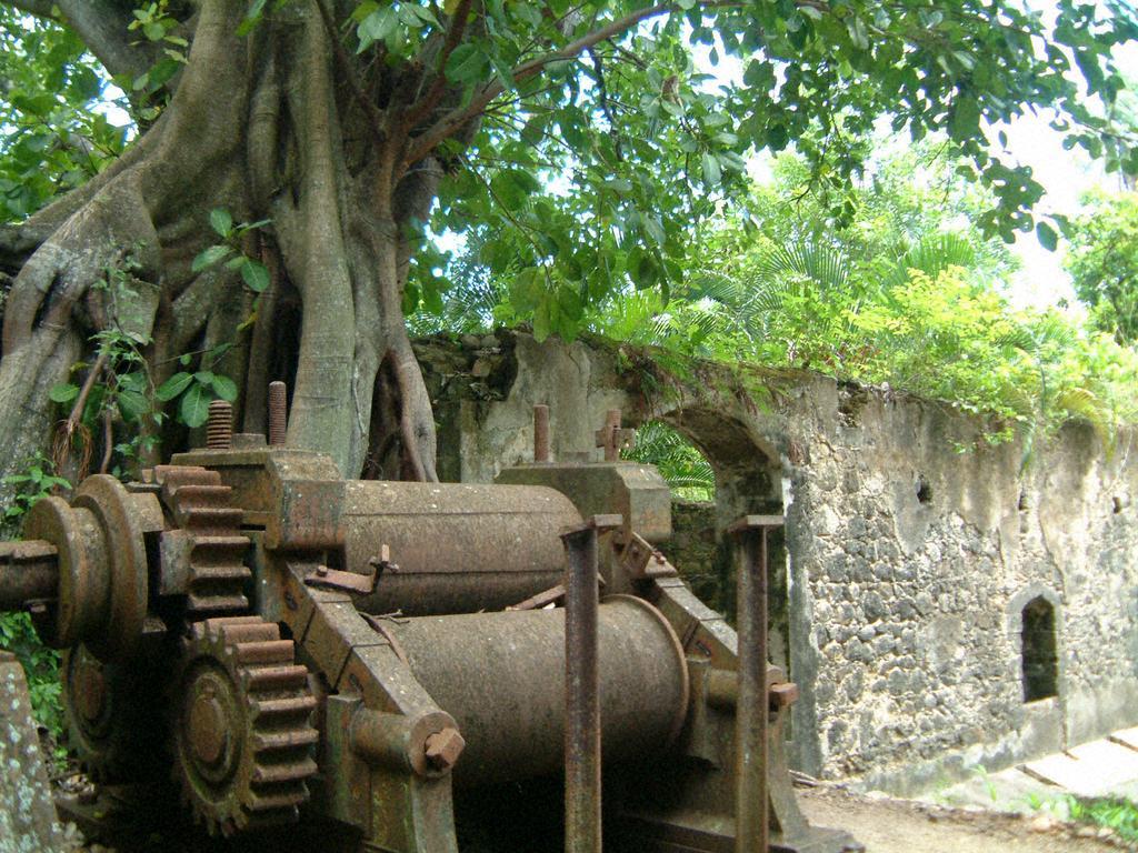 Laborie Balenbouche Estateヴィラ エクステリア 写真